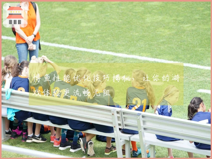 博鱼性能优化技巧揭秘，让你的游戏体验更流畅无阻